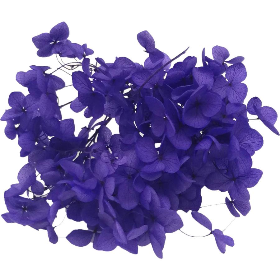 そらプリ アジサイ 花材 アナベル ビビットパープル 小分け プリザーブドフラワー 紫 Spps0162 お花の贈り物そらーる 通販 Yahoo ショッピング