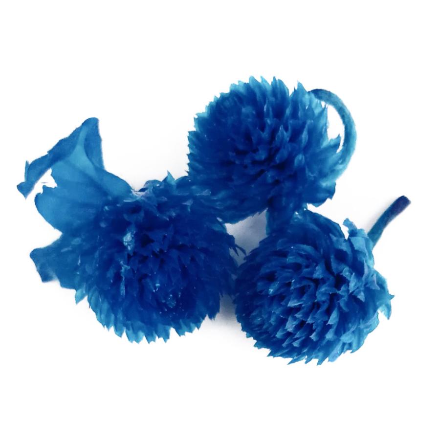 そらプリ 花材 千日紅 プリザーブド ヘッド ビビットブルー 3輪 小分け Segurosaurora Com