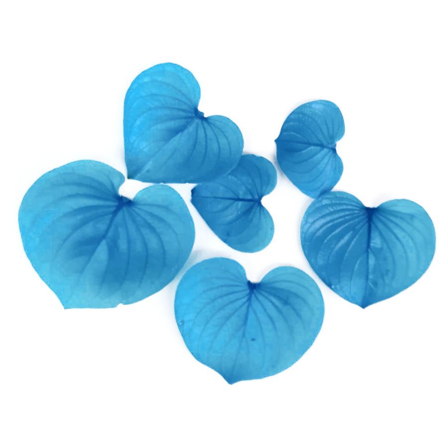 プリザーブドフラワー 花材 ハートリーフ ビビットブルー 小分け 6枚 そらプリ Spps0175 お花の贈り物そらーる 通販 Yahoo ショッピング