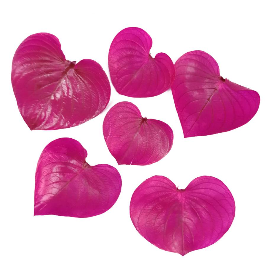 プリザーブドフラワー 花材 ハートリーフ マゼンタ 小分け 6枚 そらプリ Spps0178 お花の贈り物そらーる 通販 Yahoo ショッピング