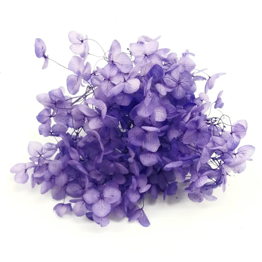 165円 卸し売り購入 プリザーブドフラワー アジサイ 花材 アナベル ピンクシルバー 小分け 金 紫陽花