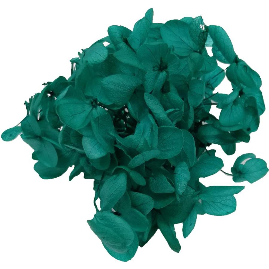 プリザーブドフラワー 花材 ピラミッドアジサイ エメラルドグリーン 小分け そらプリ 花材 紫陽花 赤 鮮やか Spps07 お花の贈り物そらーる 通販 Yahoo ショッピング