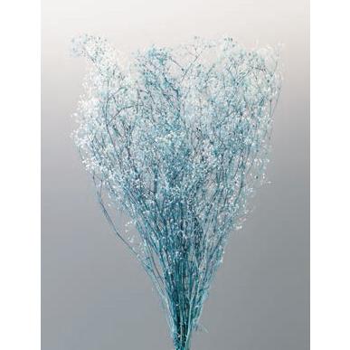 ふるさと割 かすみ草 プリザーブドフラワー ミニカスミソウ フラワーベール 白 ターコイズ 小分け そらプリ