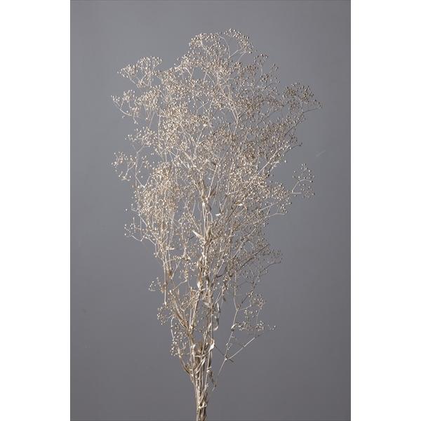 送料無料限定セール中 そらプリ かすみ草 プリザーブドフラワー カスミソウ プラチナ 小分け クリスマス 豪華 大地農園