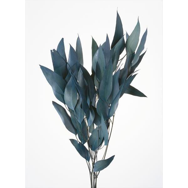 売買 そらプリ 花材 ウィロー ユーカリ ブルー グリーン 小分け 1 4袋 大地農園 ドライフラワー 材料 資材 Clone Beecorp Com Br