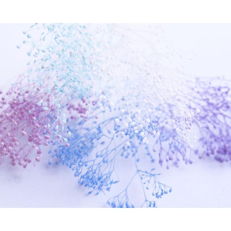 プリザーブドフラワー 福袋 カスミ草 小分け 5色 セットi ブルー系ミックス Spst0009 お花の贈り物そらーる 通販 Yahoo ショッピング