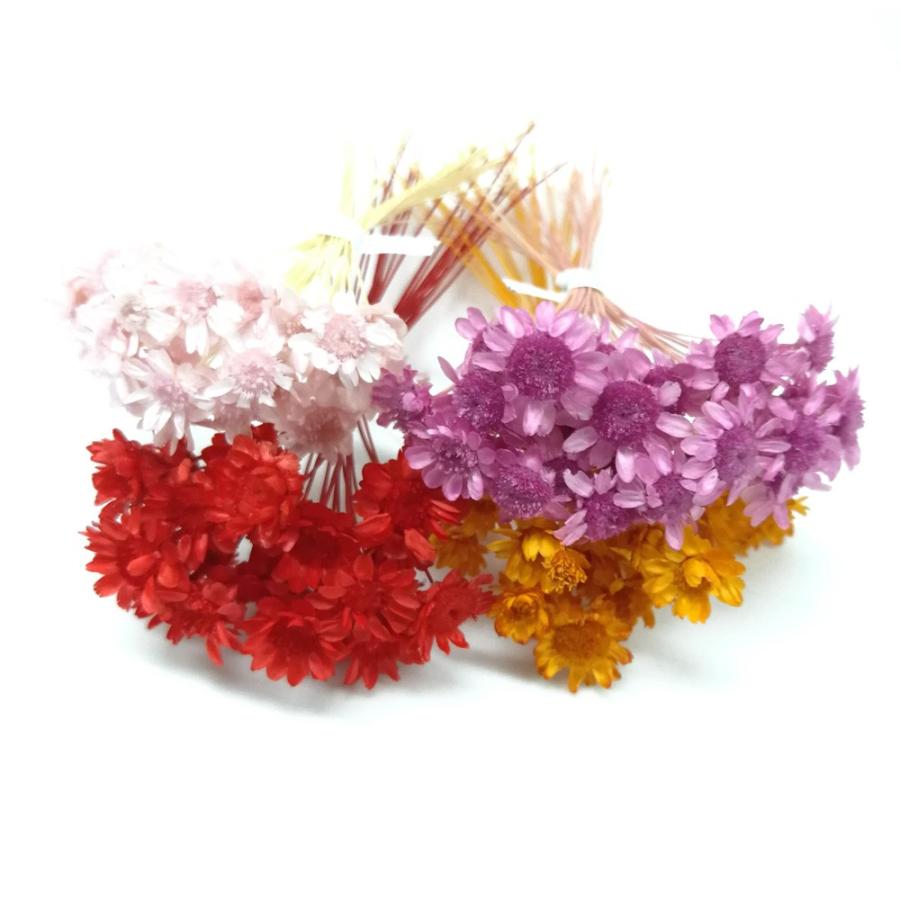 ドライフラワー 花材セット スターフラワーブロッサム アソート ピンクミックス Spst0068 お花の贈り物そらーる 通販 Yahoo ショッピング