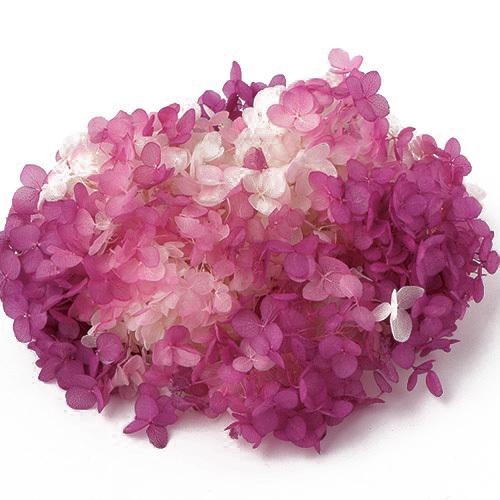 プリザーブドフラワー 花材 アジサイ アナベル パルフェ 小分け Toka そらプリ カシスフロート 東北花材 スピード対応 全国送料無料