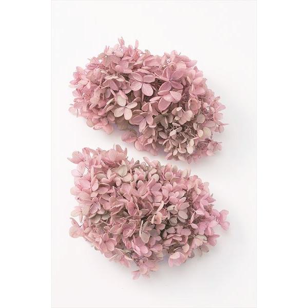 公式サイト プリザーブドフラワー 花材 ソフトアナベル アジサイ