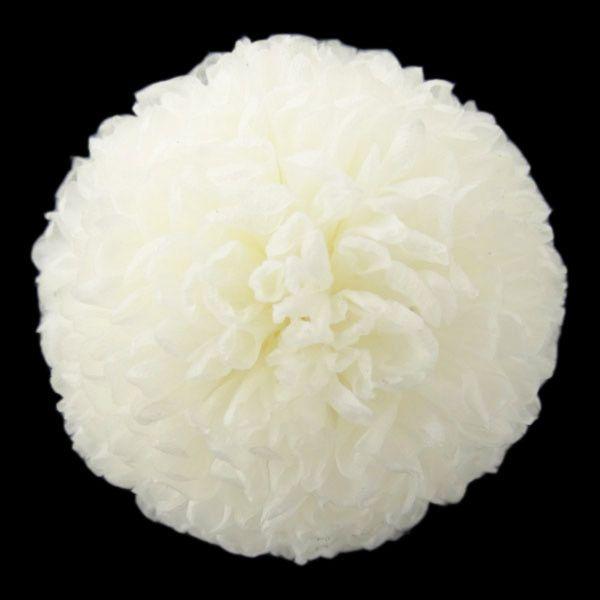 プリザーブドフラワー 花材 菊 ポンポン菊 ミディー 白 小分け 1輪 バラ売り ホワイト 花 菊 マム 大地農園 X1 Oh 010 お花の贈り物そらーる 通販 Yahoo ショッピング