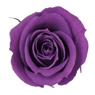 プリザーブドフラワー 材料 花材 毎週更新 ベベ ローズ 1輪入 小分け グレープ