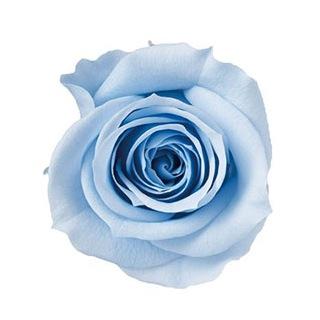 プリザーブドフラワー 花材 アヴァ バラ売り スカイブルー 1輪 小分け ローズ