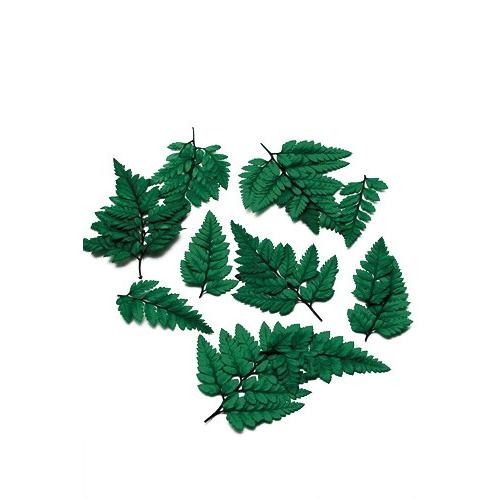 レザーファーン リーフ グリーン 小分け 2枚入 羊歯 シダ プリザーブドフラワー 花材 大地農園 最新情報