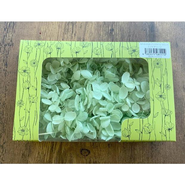 最新最全の プリザーブドフラワー 花材 日比谷ピラミッドアジサイ ミントグリーン 箱売り 15g 日比谷花壇 紫陽花 あじさい Babylonrooftop Com Au