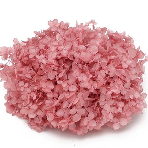 プリザーブドフラワー 花材 ソフト アジサイ アナベル クランベリー 約2 5輪 東北花材 ピンク 小ぶり 鮮やか Xa Lp お花の贈り物そらーる 通販 Yahoo ショッピング