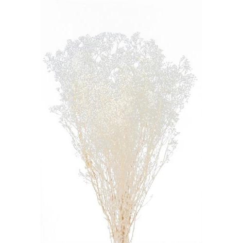 かすみ草 プリザーブドフラワー 花材 ソフトミニカスミソウ 白 約22g 大地農園 カスミ ホワイト