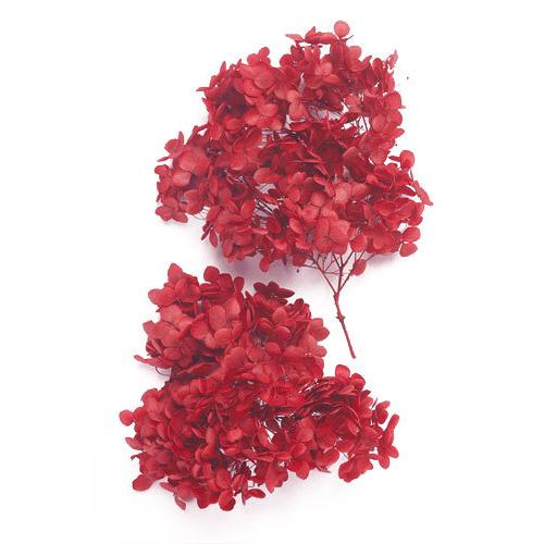 プリザーブドフラワー 大地農園 花材 ソフト アナベルアジサイ レッド 約2輪 赤 あじさい 紫陽花 クリスマス 和風 Xa Oh 301 お花の贈り物そらーる 通販 Yahoo ショッピング