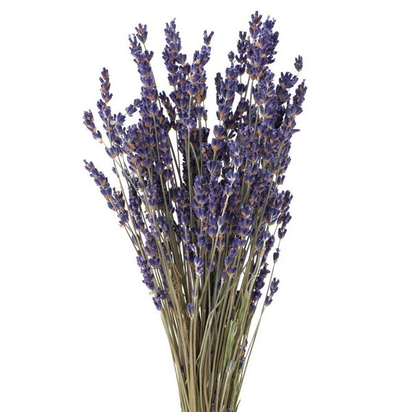 新品未使用正規品 ドライフラワー 花材 ラベンダー イタリー 約30g N 材料 資材 インテリア お部屋 お花