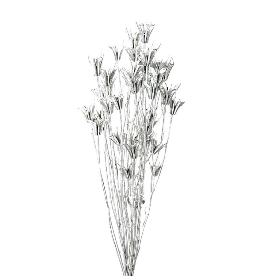 大地農園 ドライフラワー ニゲラオリエンタリス プラチナシルバー 約30ｇ Xa Oh 962 お花の贈り物そらーる 通販 Yahoo ショッピング