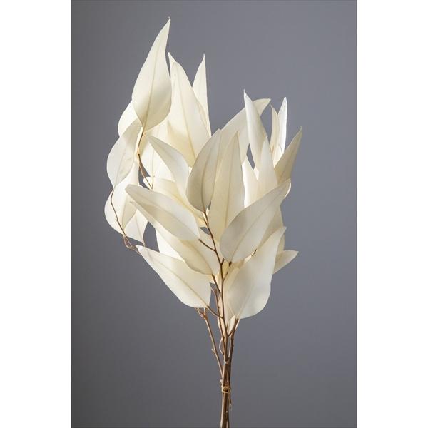 おトク ドライフラワー 花材 材料 ウィロー ユーカリ オフホワイト 約25g 大地農園 ドライ 葉 Wantannas Go Id