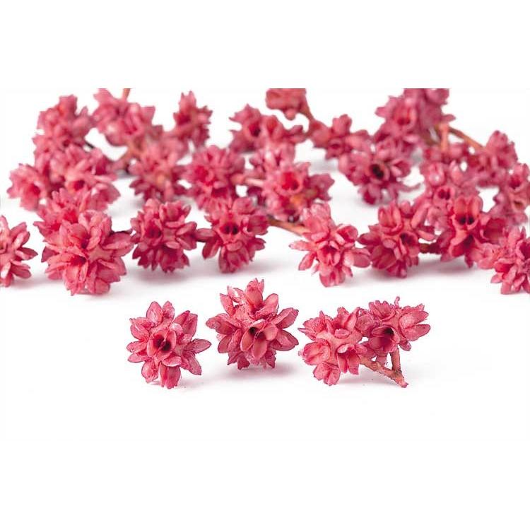 大地農園 木の実 ドライフラワー フラワーコーン フランボワーズ 約個 Xa Oh 211 お花の贈り物そらーる 通販 Yahoo ショッピング