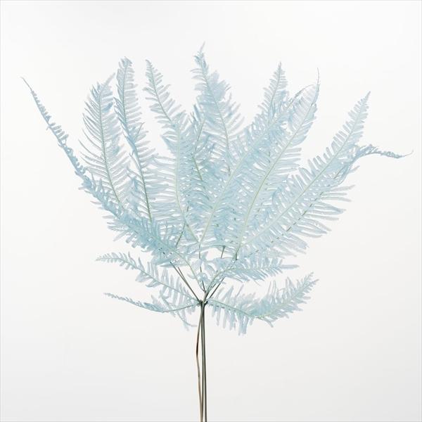 Sale 91 Off ドライフラワー 花材 山シダ ベビーブルー 約10枚 大地農園 Noteworthy Collectibles Com