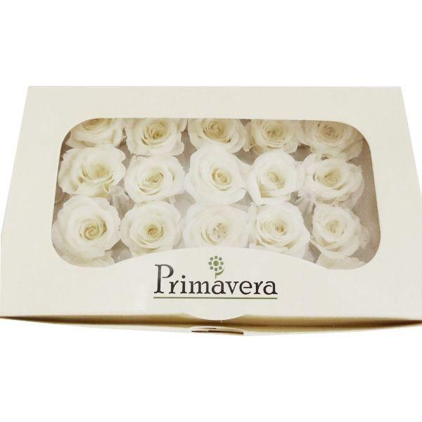 924円 新しい到着 べべ ローズ スノーホワイト 箱 輪入 プリザーブドフラワー 花材