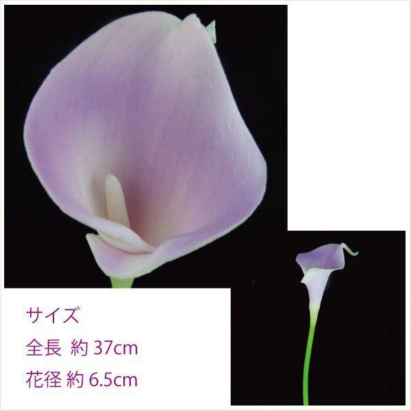 カラーリリィ ラベンダー 小分け １本入 アーティシャル 花材 Asca Xg A 006 お花の贈り物そらーる 通販 Yahoo ショッピング