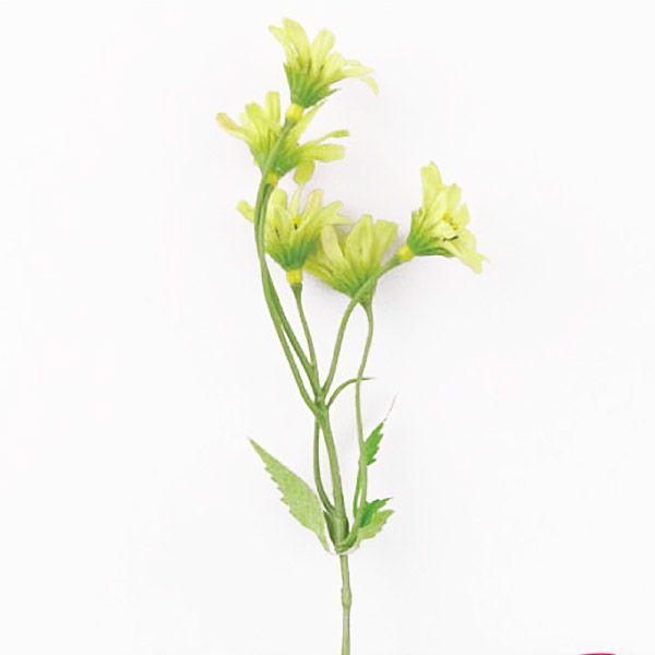 33円 使い勝手の良い ミニデージーピック セロリ 小分け 1本入 プリザーブドフラワー 花材 材料 Asca