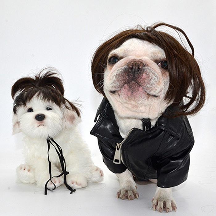 ペット用品 かつら ペットコスプレ 犬のかつら 面白い かわいい Bobo 猫 犬 コスチューム 撮影 カール 人気 小型犬 中型 大型 変装 かわいい 簡単 M Solas 通販 Yahoo ショッピング