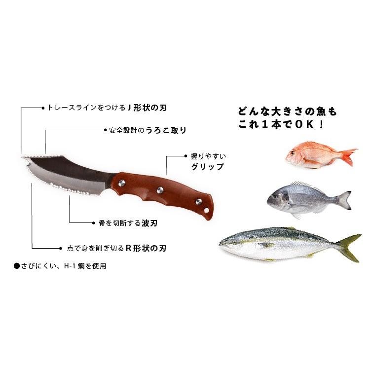 サカナイフ SAKAKNIFE シャープナー 説明DVD付 日本製 : SolidStore