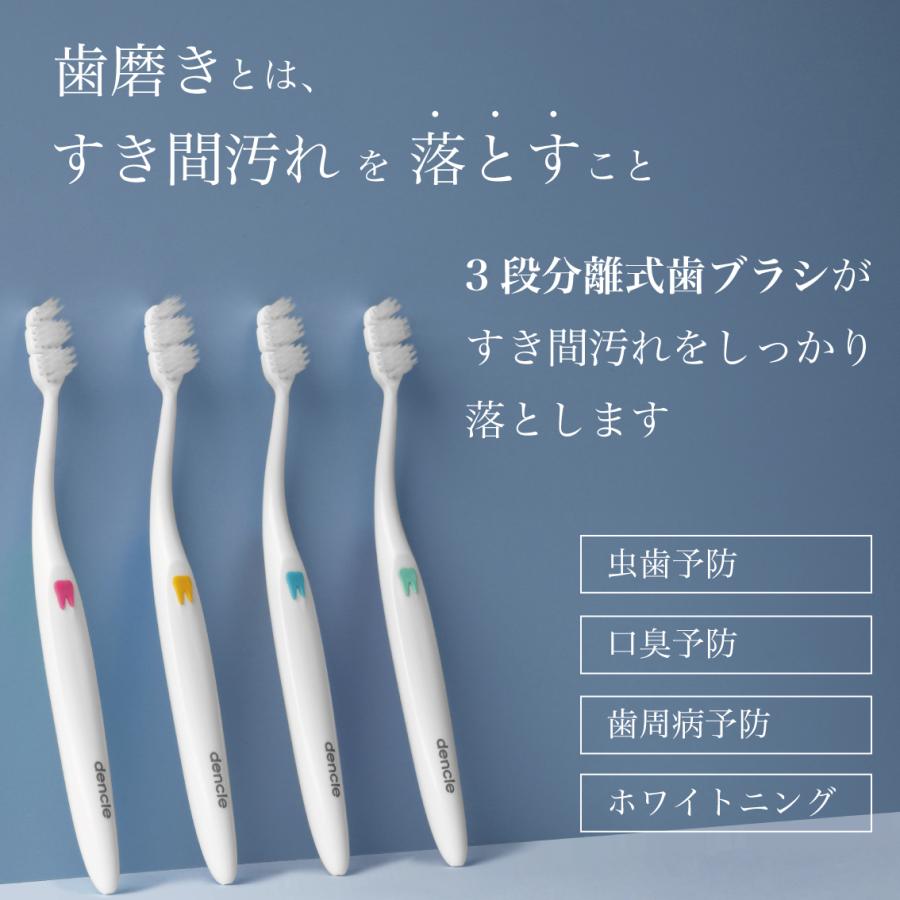 本家本元 スキ間歯ブラシ Dencle 3段分離式 歯ブラシ 12本セット 歯周