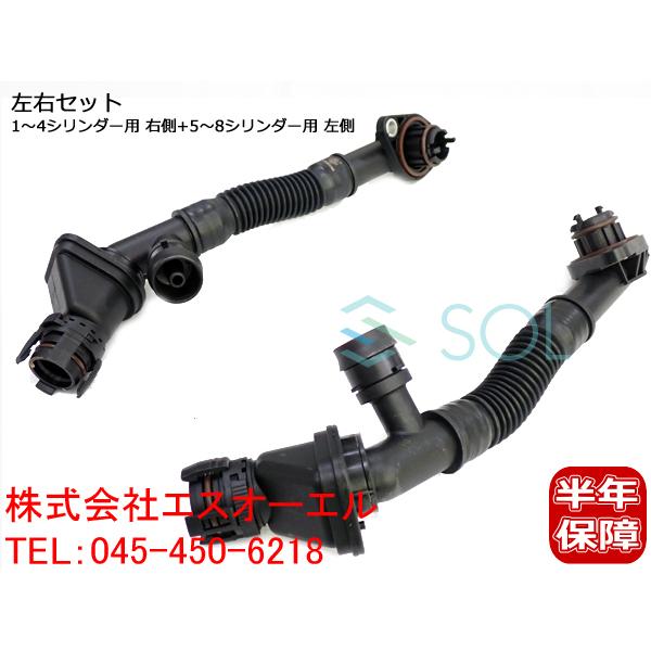 釈迦苦行像（全ての命のために） | アートの輪 釈迦苦行像