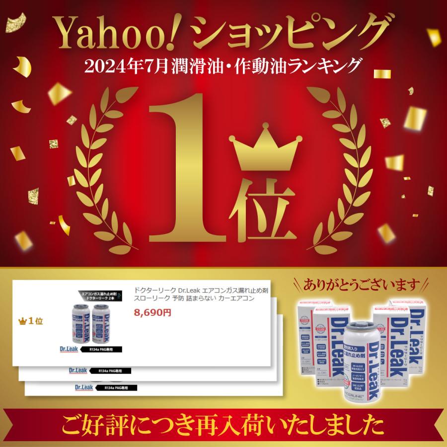 ドクターリーク Dr.Leak エアコンガス漏れ止め剤 R134a PAG 用 10本 LL
