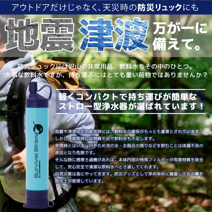 災害用 防災士監修 電動式 アウトドア サバイバル 濾過器 登山 キャンプ 携帯 携帯浄水器 アウトドア浄水器 屋外浄水システム 濾過器 サバイバル浄水