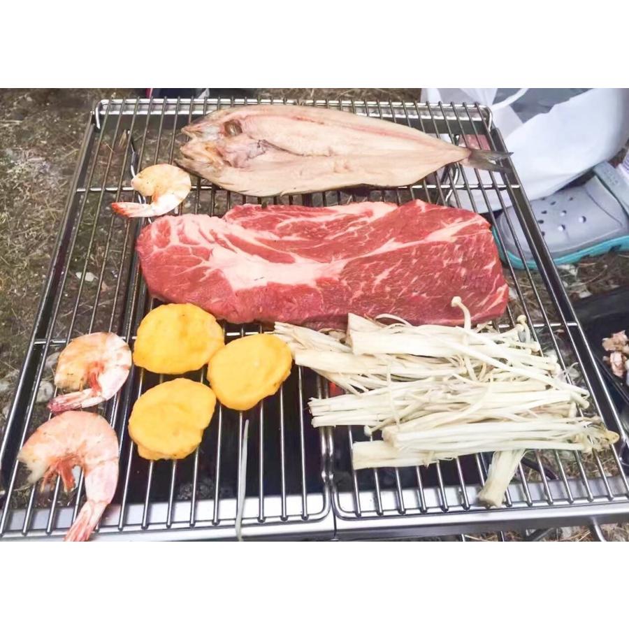CAMPINGMOON 焼き網 ステンレス キャンピングムーン 長目金網 焼アミ