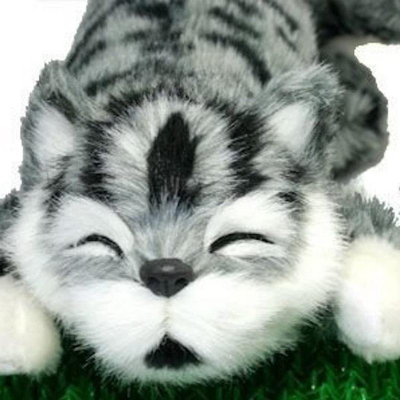 ぬいぐるみ 猫 ネコ ねこ おもちゃ 笑う 笑い転げる猫 音に反応 笑う猫