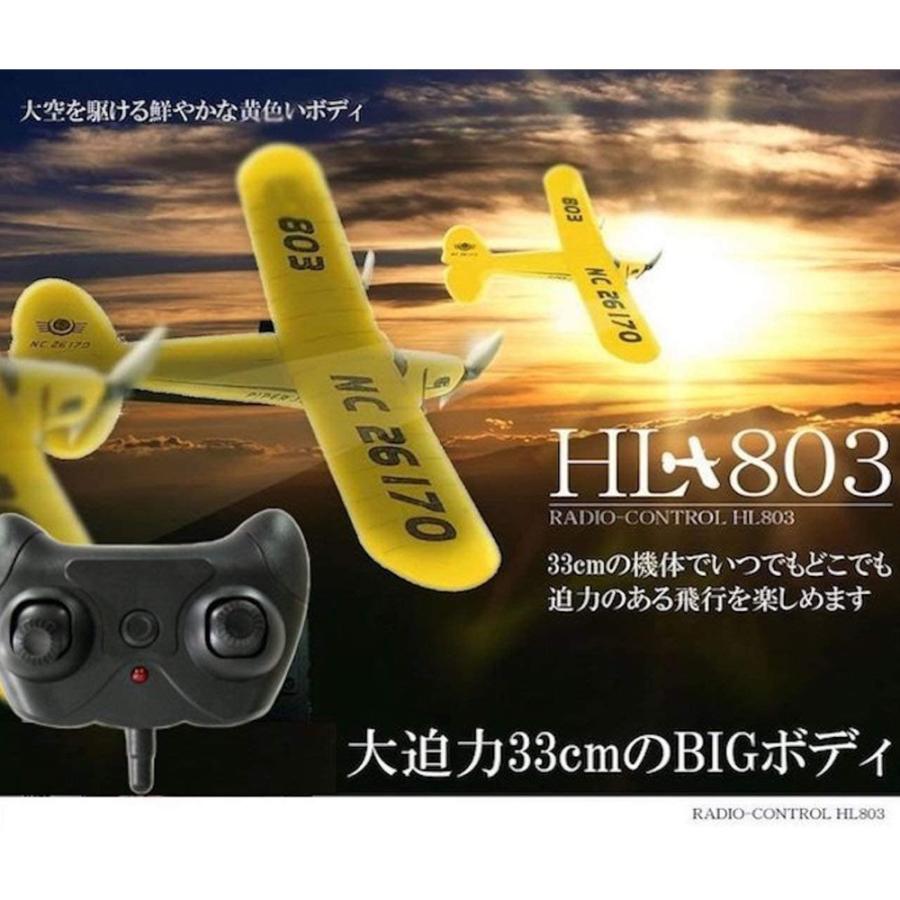 ２５日までセール10000円引きsnark20t ラジコン飛行機 25日までセール10000円引きsnark20t ラジコン飛行機 Amazon | HAWK'S