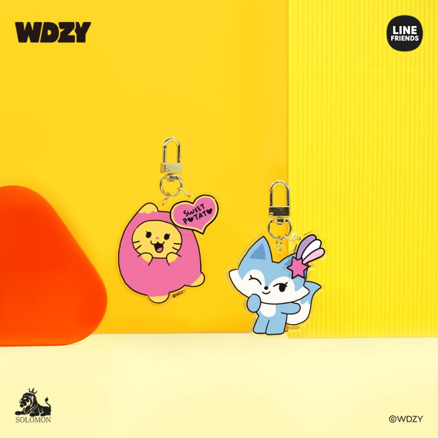 50%OFF!クリアランスセール :】【ソロモン商事】WDZY アクリル 50%OFF!クリアランスセール :】【ソロモン商事】WDZY アクリル