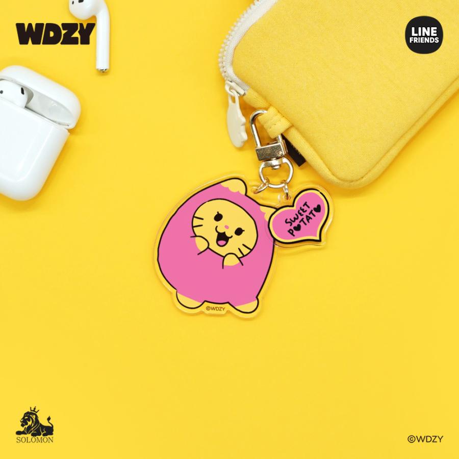 50%OFF!クリアランスセール :】【ソロモン商事】WDZY アクリル 50%OFF!クリアランスセール :】【ソロモン商事】WDZY アクリル