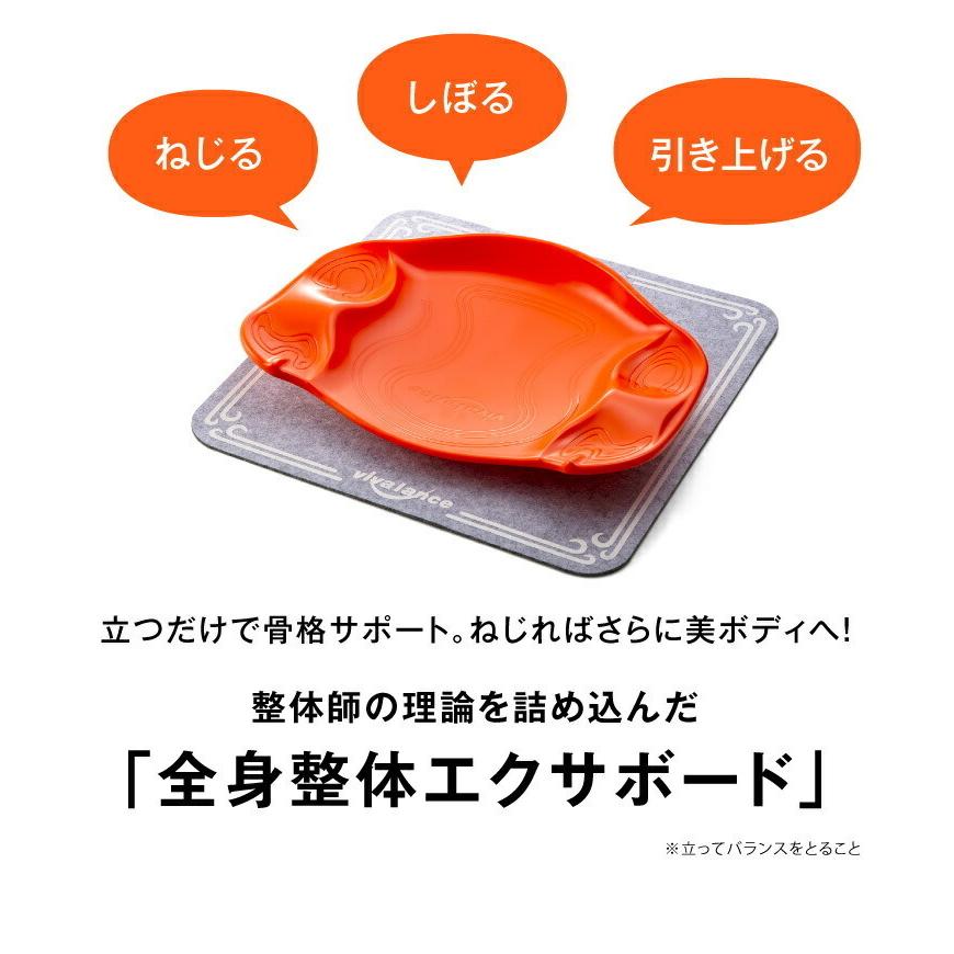 PLUS 美バランス ネジラッパー プラス シェイプアップグッズ