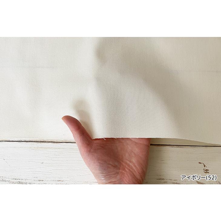 Protex(R)20sツイル 布 生地 手作り カット50cm単位(商品番号:11512