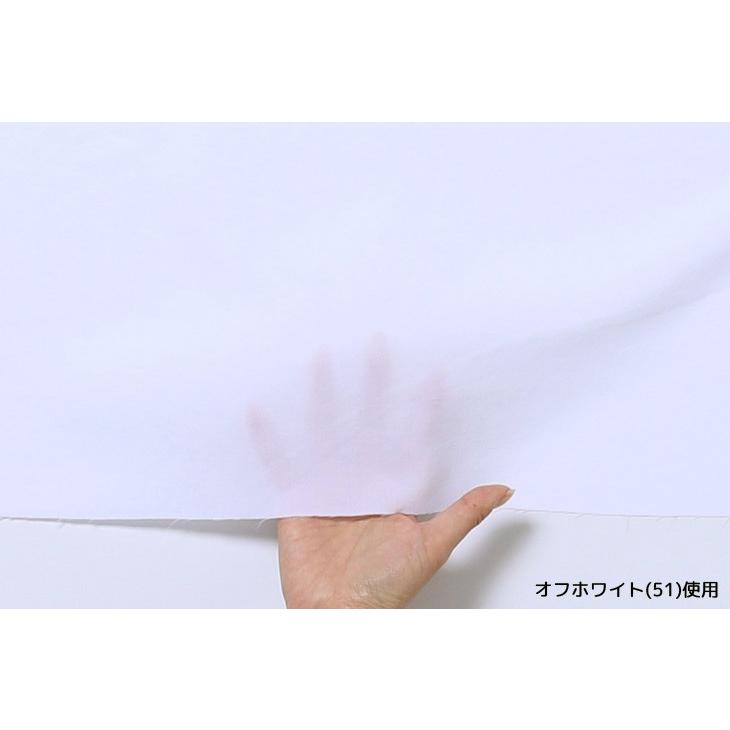 シックアンドシンボイル 布 生地 手作り カット50cm単位(商品番号