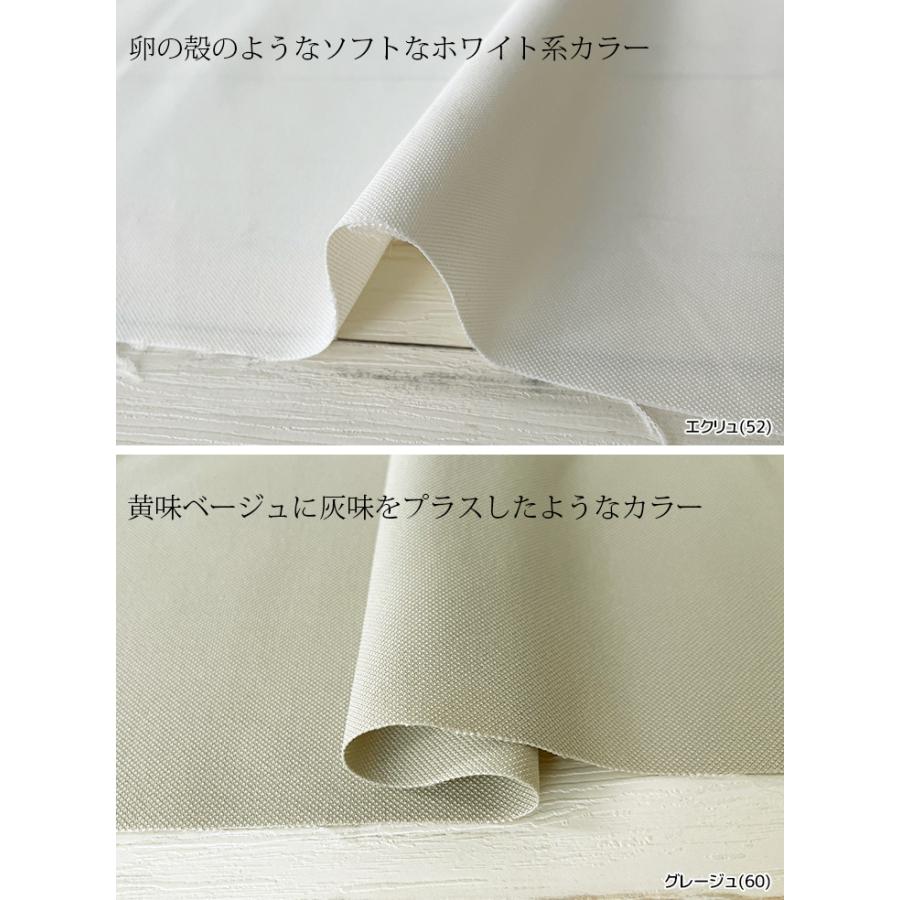 ECOPET(R)×AEROツイルストレッチ 布 生地 手作り カット50cm単位(商品番号:41277) |  | 03
