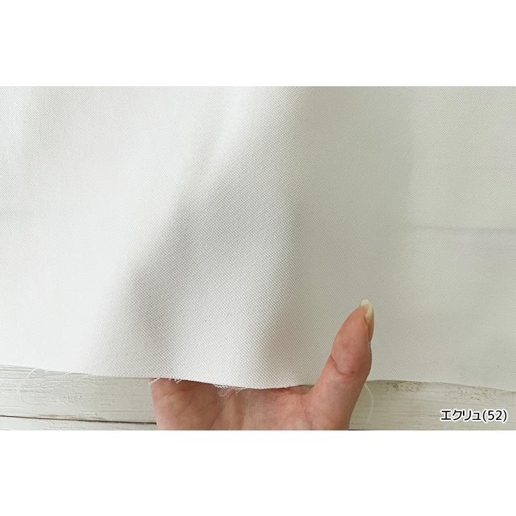ECOPET(R)×AEROツイルストレッチ 布 生地 手作り カット50cm単位(商品番号:41277) |  | 09