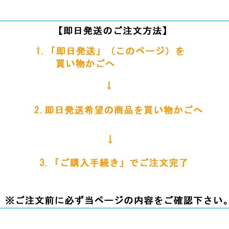 即日発送依頼※注意事項をご確認の上、ご希望の際はこちらを購入商品と