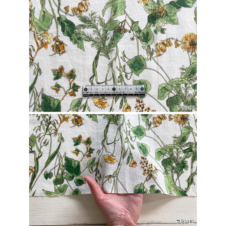 激レア♥️JohnGalliano刺繍装飾ハンチング 楽天市場】【綿麻シーチング】☆10cm単位続けてカット☆echino