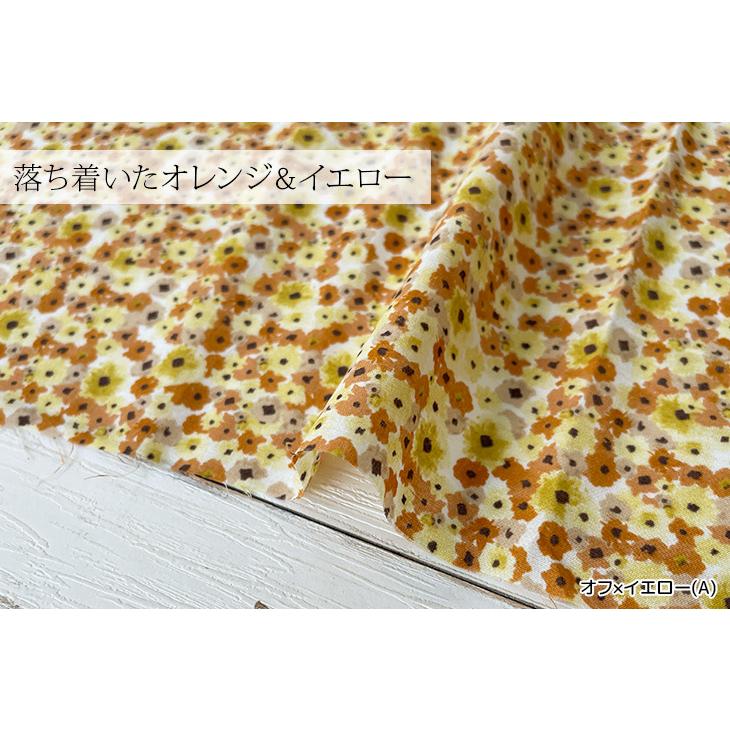 60sローンプリント 布 生地 手作り カット50cm単位(商品番号:SOL28087 