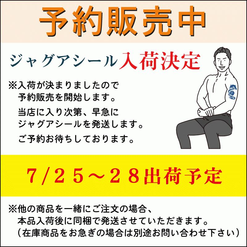予約販売 ジャグア シール 宇宙1 Mサイズ 長持ち タトゥーシール ジャグアタトゥー シール リアル 刺青 入れ墨 太陽 月 コンパス 方位磁石 2week タトゥー Jaguaseal Gz 395 ソルタトゥー 通販 Yahoo ショッピング