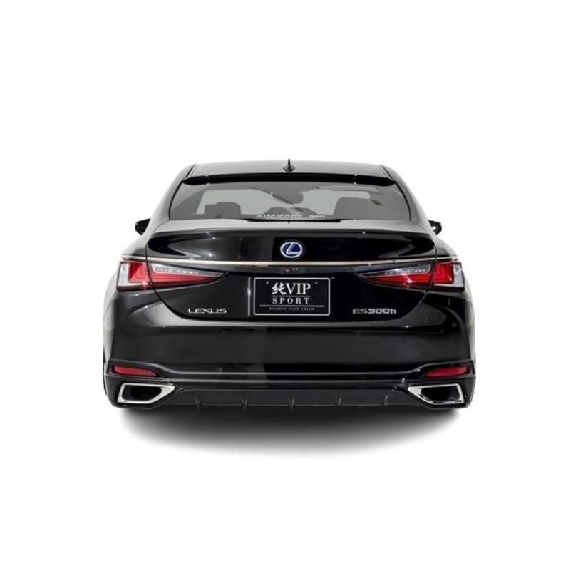 AIMGAIN 純VIP SPORT LEXUS レクサス ES ES300h リアハーフスポイラー